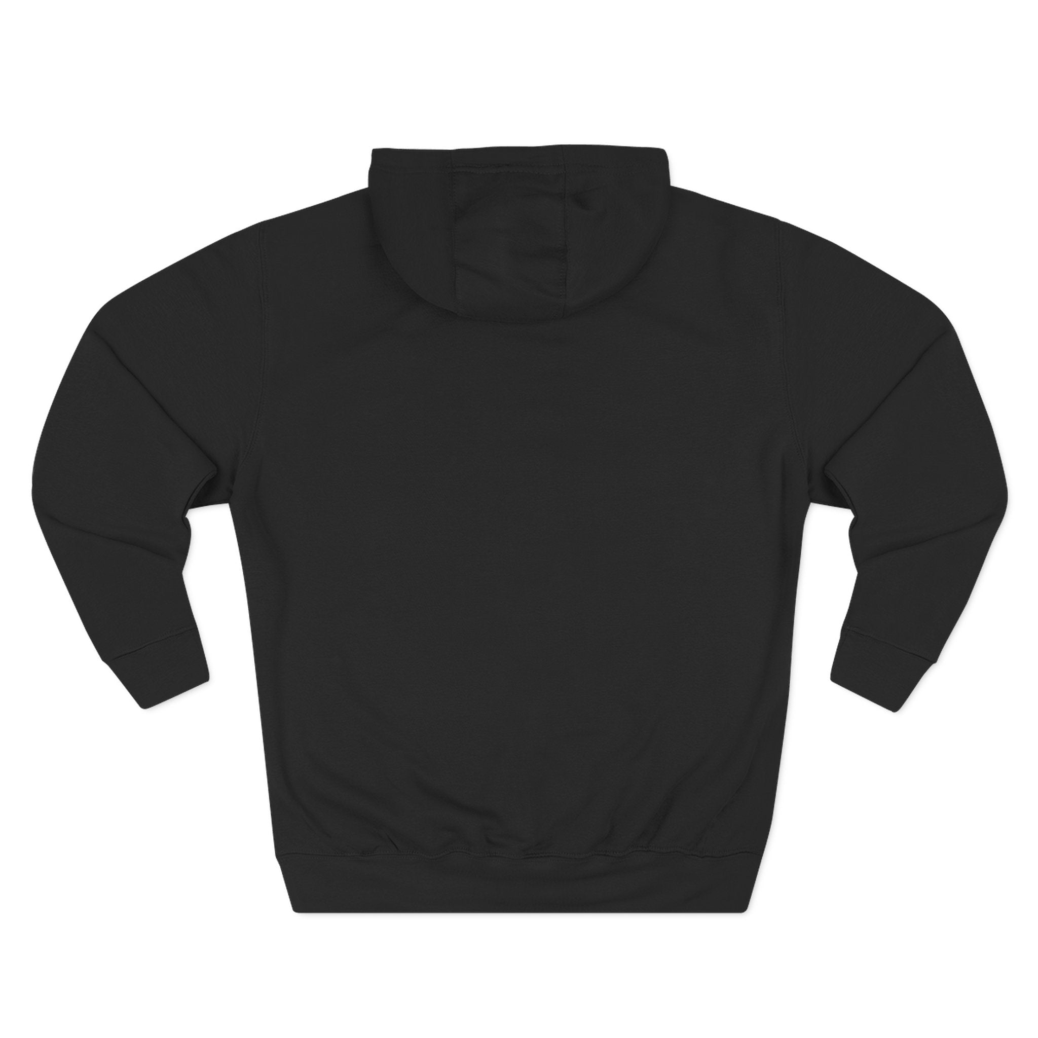 Dinosaur Rider Crystal Sparkle Hoodie — 'WHY NOT?' Graphic Pullover
