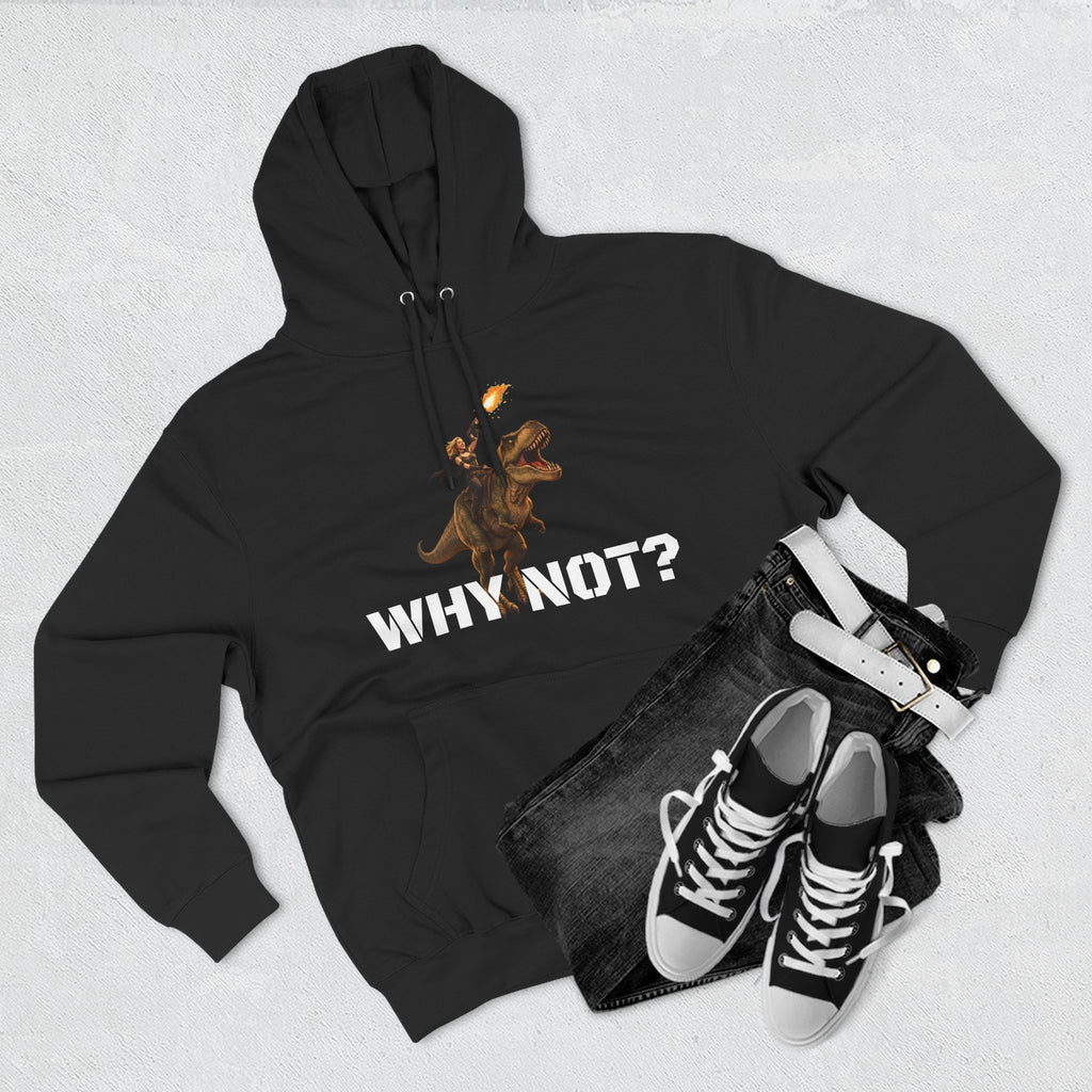 Dinosaur Rider Crystal Sparkle Hoodie — 'WHY NOT?' Graphic Pullover