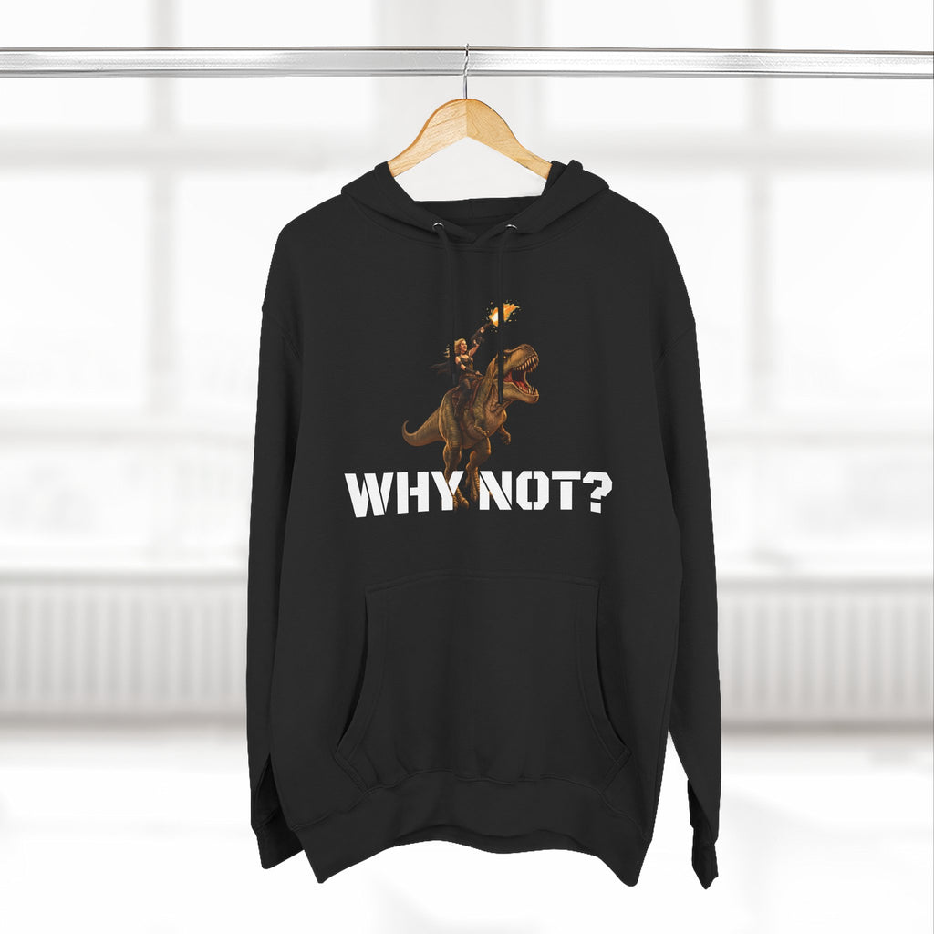 Dinosaur Rider Crystal Sparkle Hoodie — 'WHY NOT?' Graphic Pullover